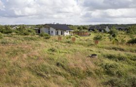 Photo of ullvi-38km-from-the-sea-in-nw-jutland