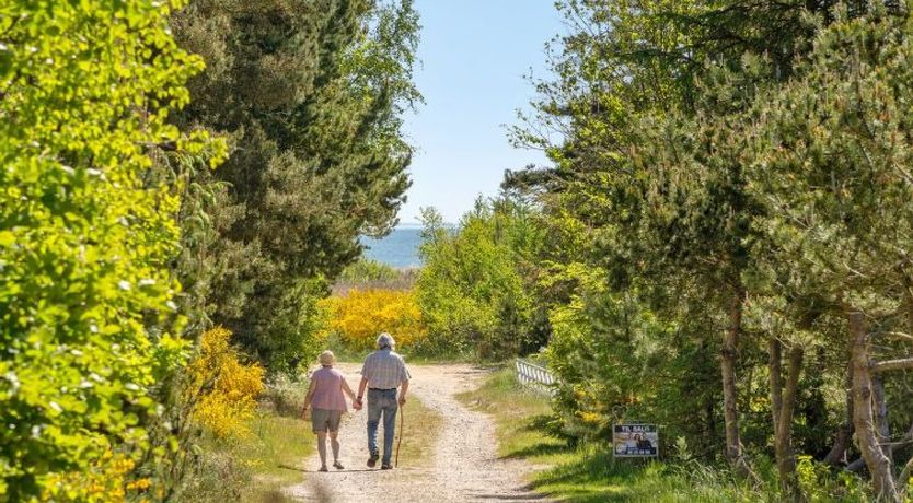 Photo of "Anderson" -  from the sea