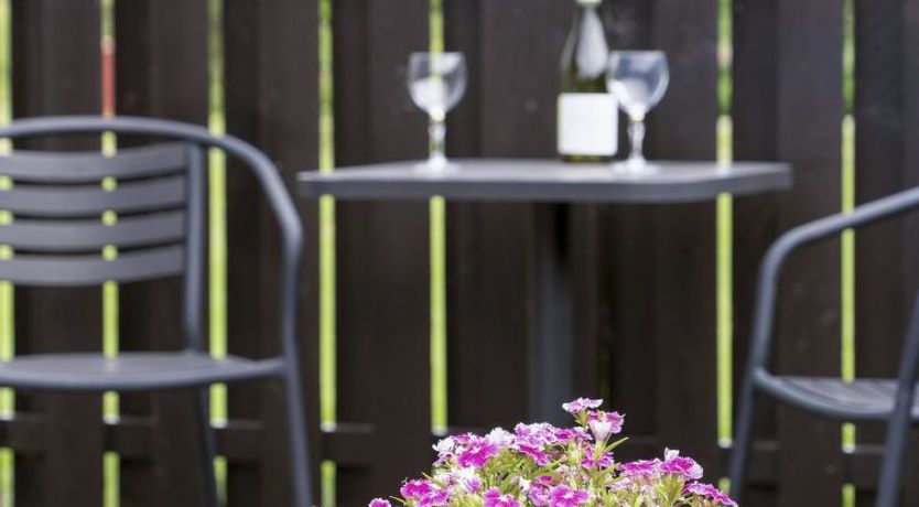 Photo of "Sampsa" - 600m from the sea