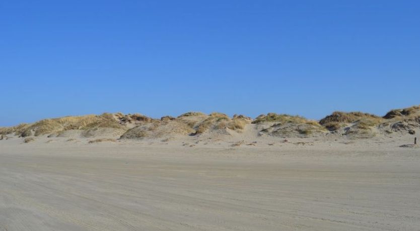 Photo of "Elinora" - 100m from the sea