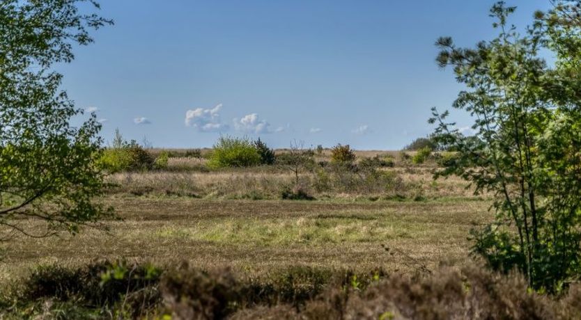 Photo of "Annestine" - 200m from the sea