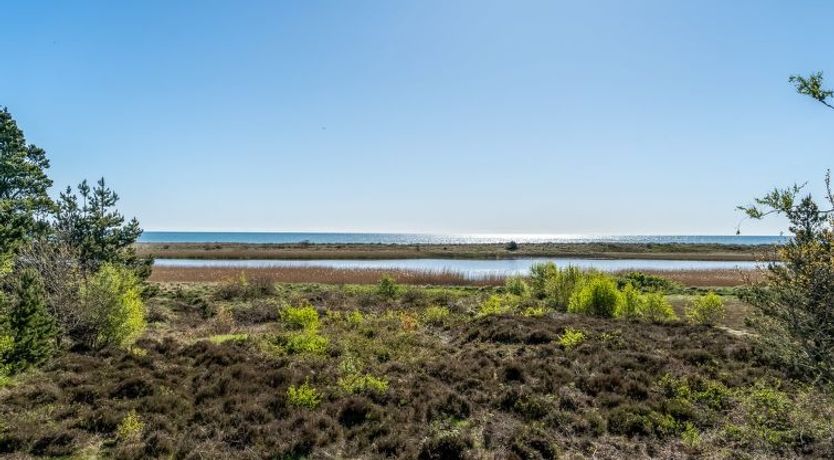 Photo of "Annestine" - 200m from the sea