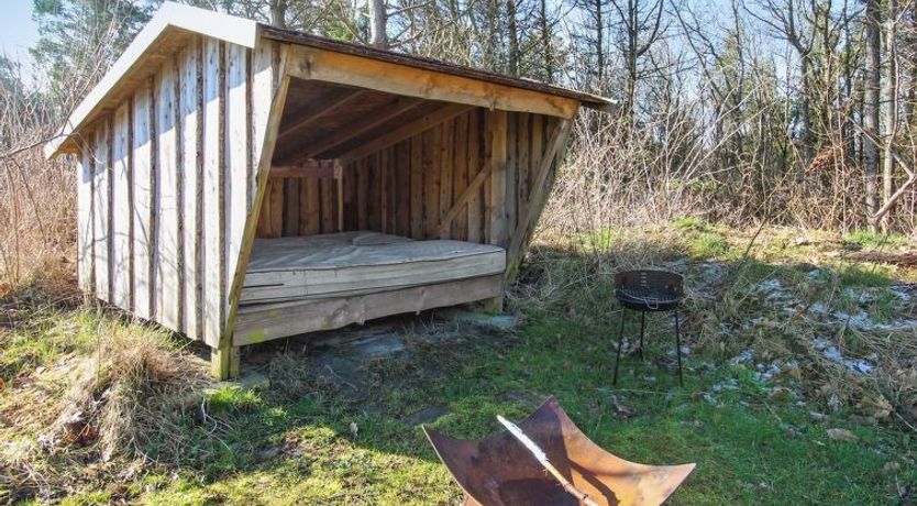 Photo of "Harriet" - 800m from the sea