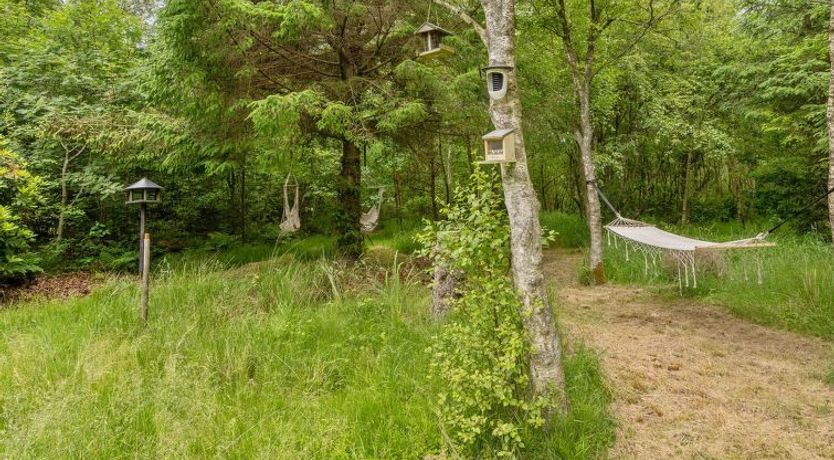 Photo of "Ane" - 1.7km from the sea