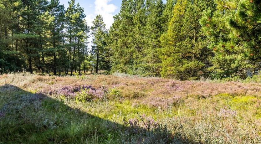 Photo of "Maija" - 1.4km from the sea