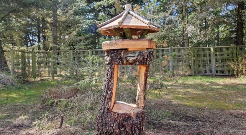 Photo of "Sora" - 2km from the sea