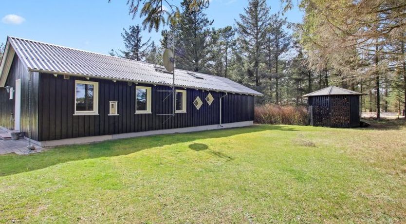 Photo of "Sora" - 2km from the sea