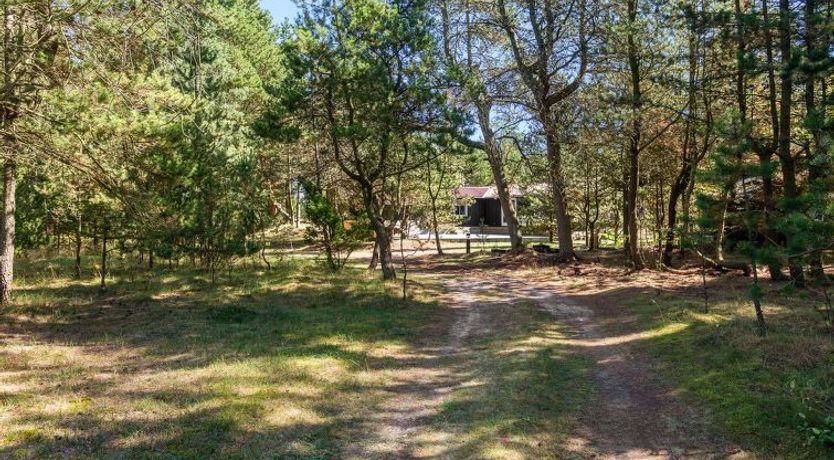 Photo of "Gorm" - 300m from the sea