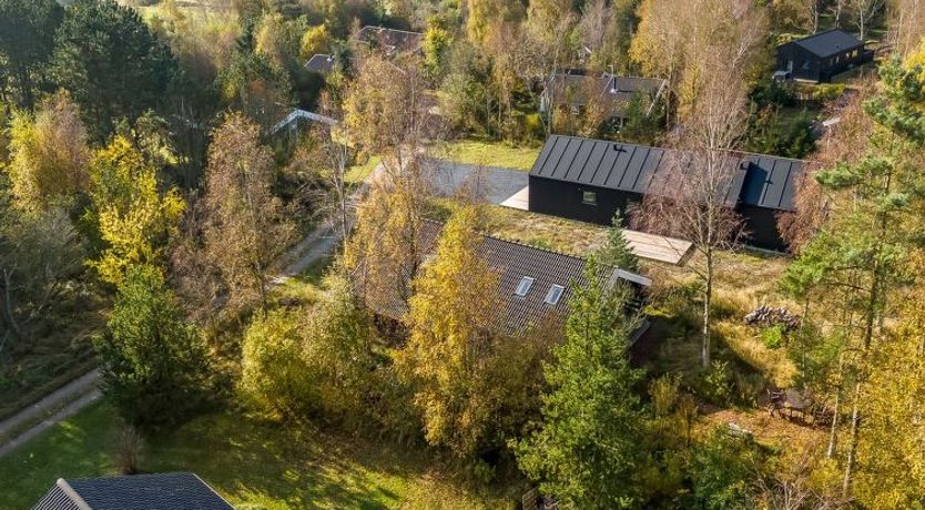 Photo of "Tanas" - 2km from the sea