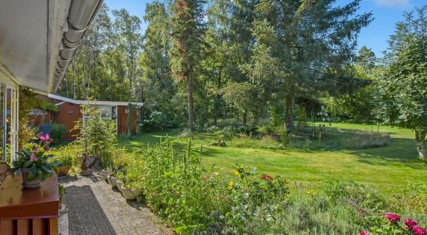 Photo of "Hartvig" - 800m from the sea