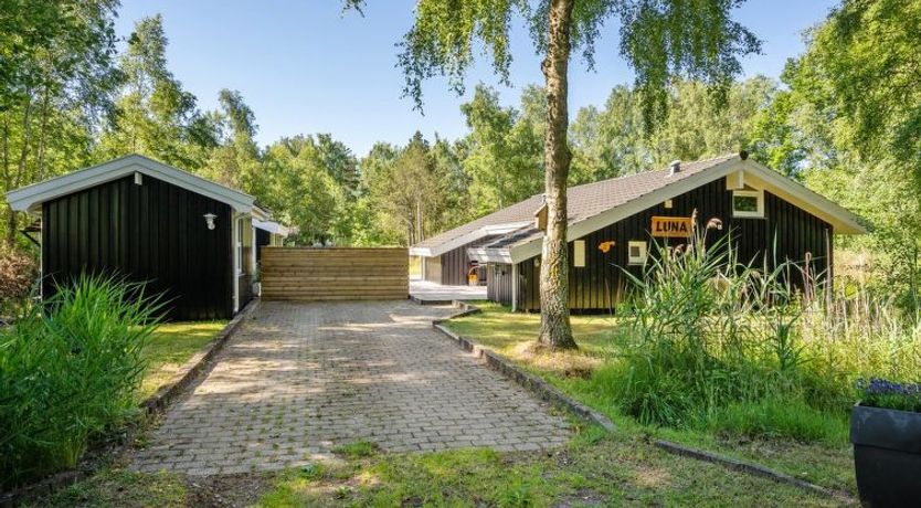 Photo of "Mika" - 1km from the sea