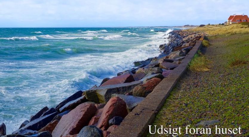 Photo of "Ingwald" - 50m from the sea