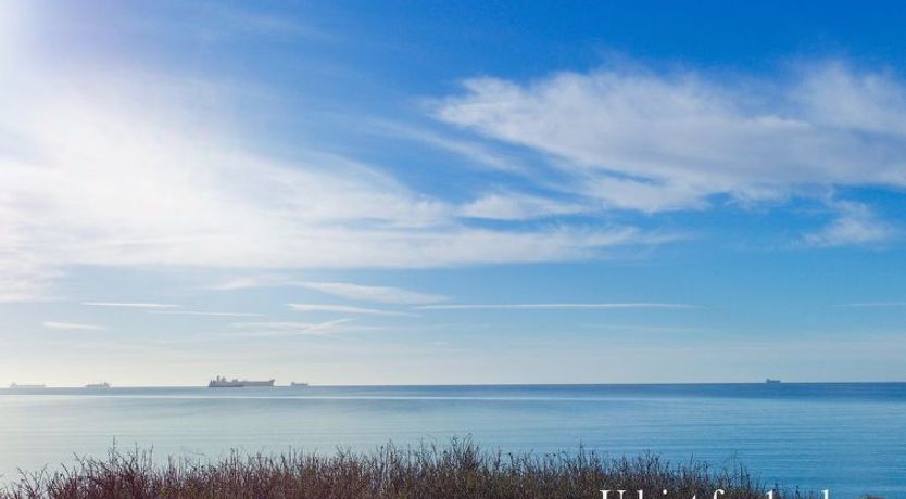 Photo of "Ingwald" - 50m from the sea