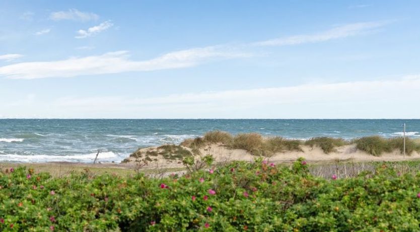 Photo of "Miroslava" - 140m from the sea