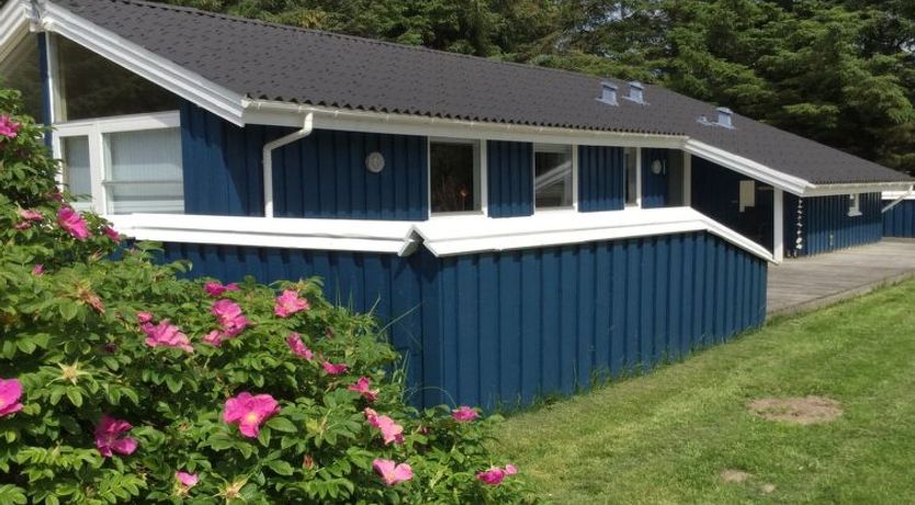 Photo of "Sari" - 600m from the sea