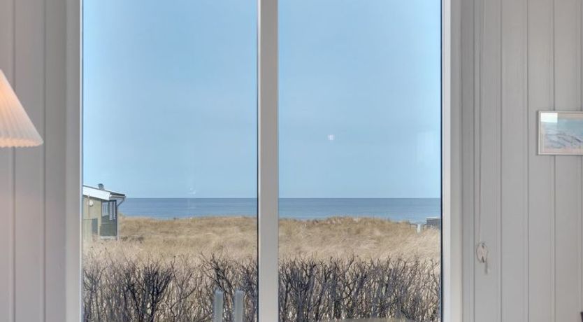 Photo of "Jace" - 75m from the sea