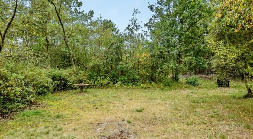 Photo of "Amala" - 2.5km from the sea