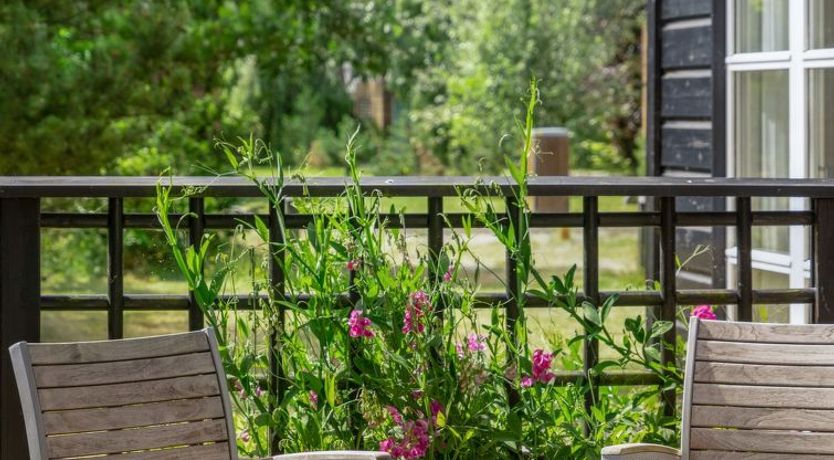 Photo of "Nele" - 400m from the sea