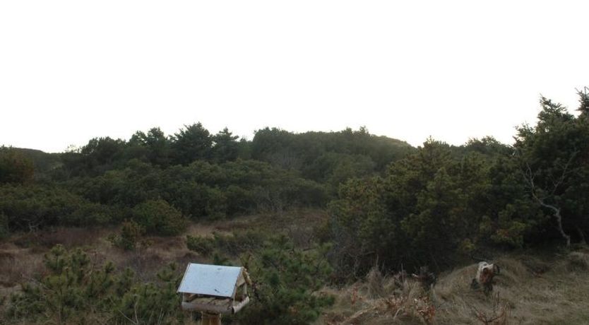 Photo of "Annita" - 300m from the sea