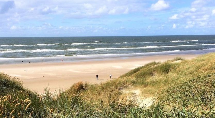 Photo of "Elsa" - 700m from the sea