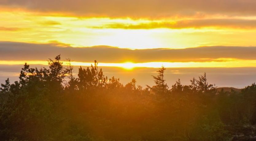 Photo of "Elsa" - 700m from the sea