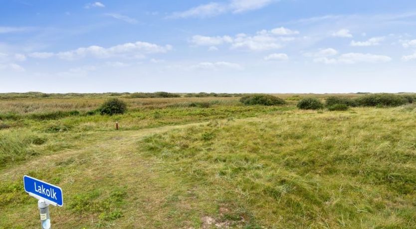 Photo of "Swana" - 550m from the sea