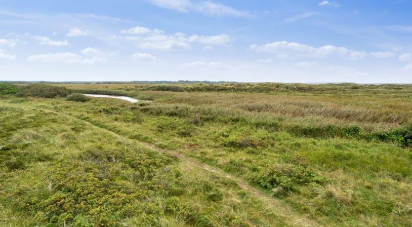 Photo of "Swana" - 550m from the sea