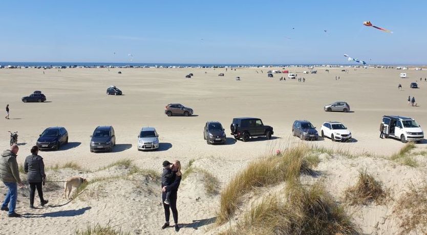 Photo of "Swana" - 550m from the sea