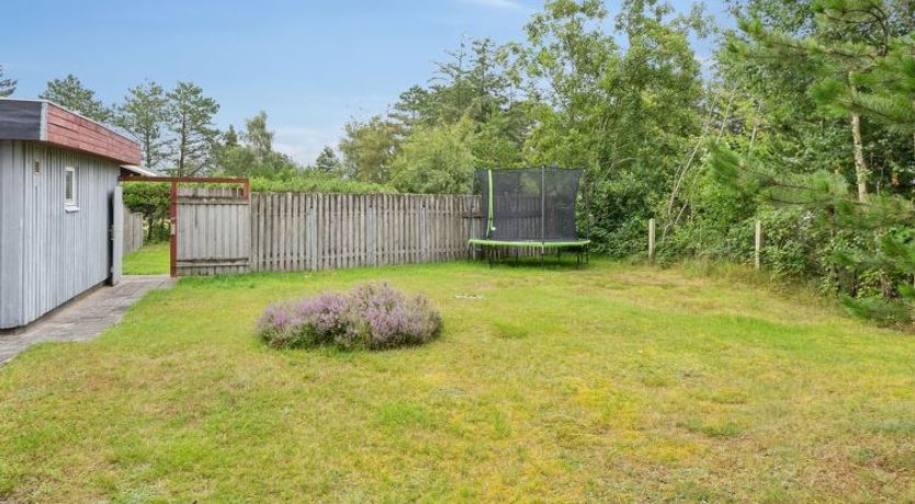 Photo of "Lippi" - 2.3km from the sea