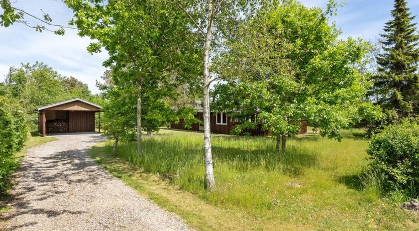 Photo of "Soraya" - 700m to the fjord