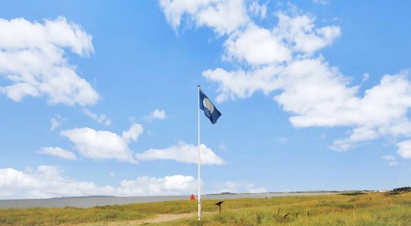 Photo of "Soraya" - 700m to the fjord