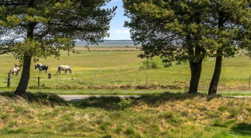 Photo of "Elny" - 500m to the fjord