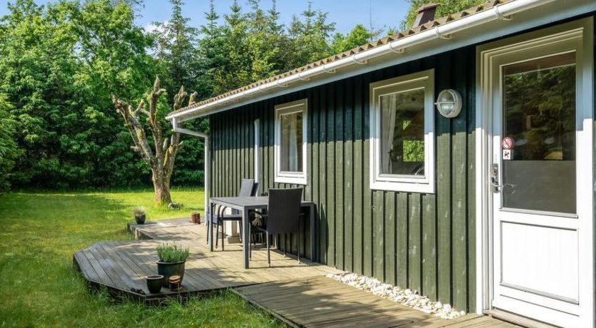 Photo of "Myrna" - 300m from the sea