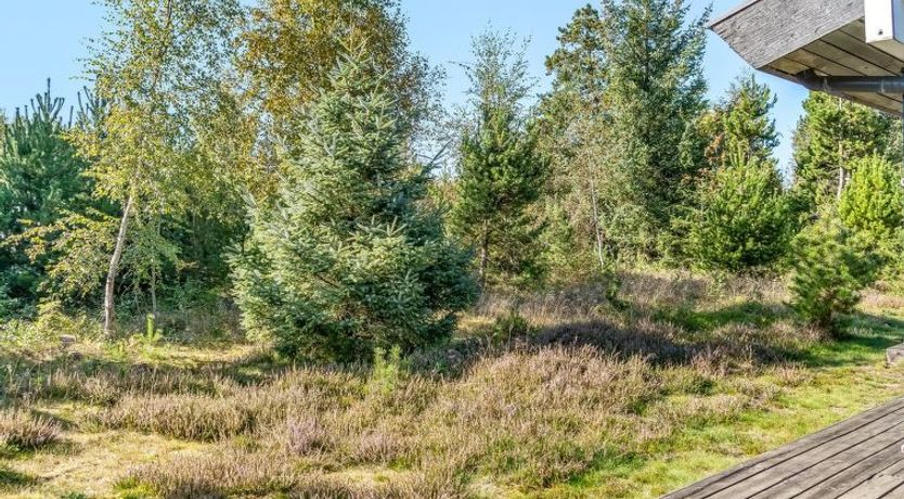 Photo of "Thomine" - 200m from the sea