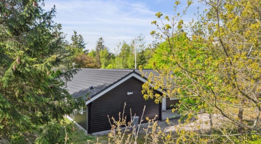 Photo of "Hejdi" - 350m from the sea