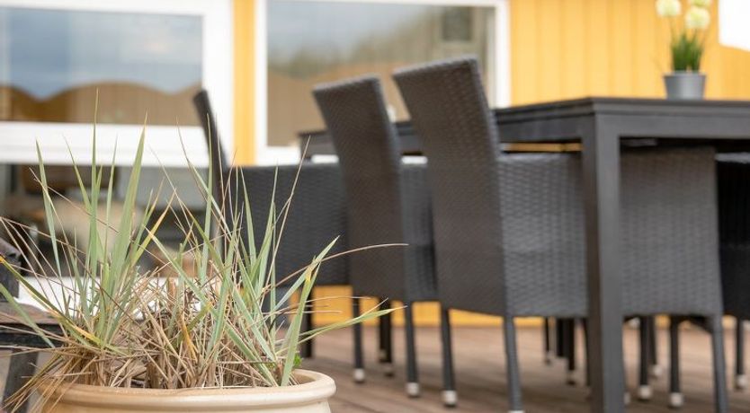 Photo of "Thrond" - 200m from the sea