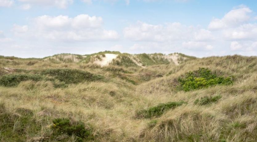 Photo of "Thrond" - 200m from the sea