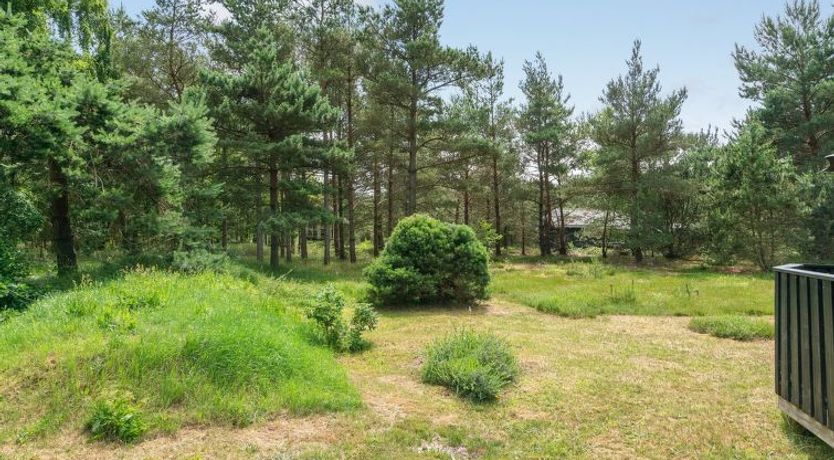 Photo of "Mine" - 300m from the sea