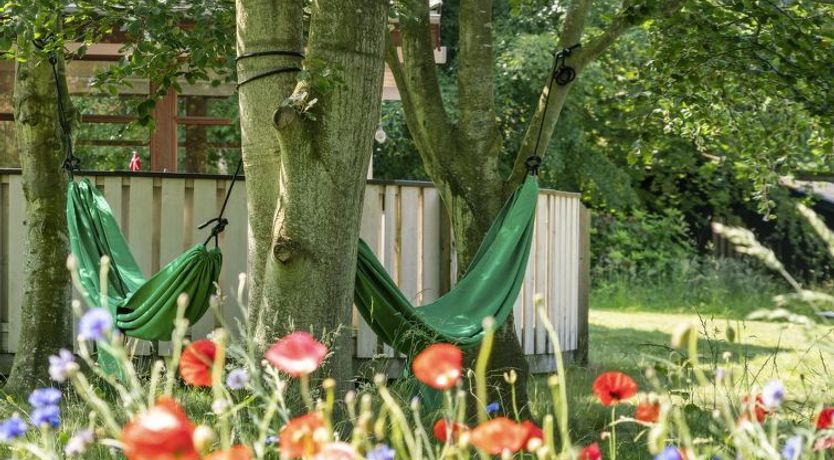 Photo of "Leevi" - 150m from the sea