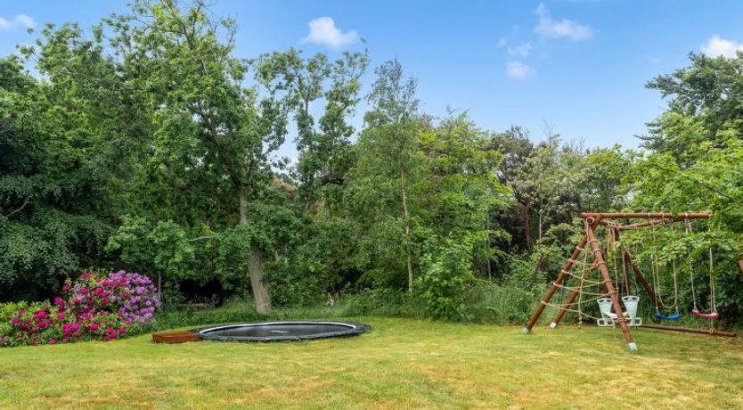 Photo of "Leevi" - 150m from the sea