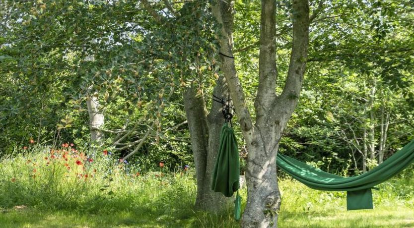 Photo of "Leevi" - 150m from the sea