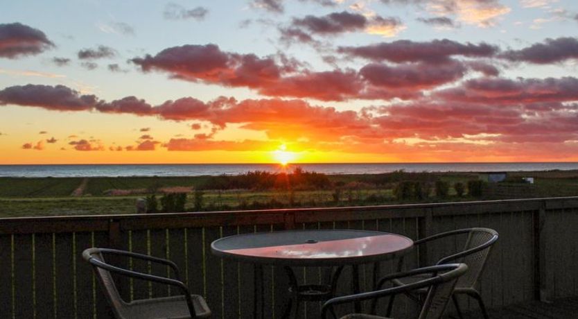 Photo of "Lilibeth" - 300m from the sea