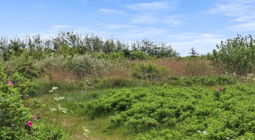 Photo of "Andria" - 300m from the sea