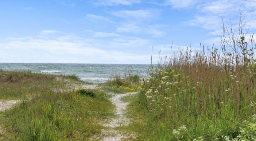 Photo of "Andria" - 300m from the sea