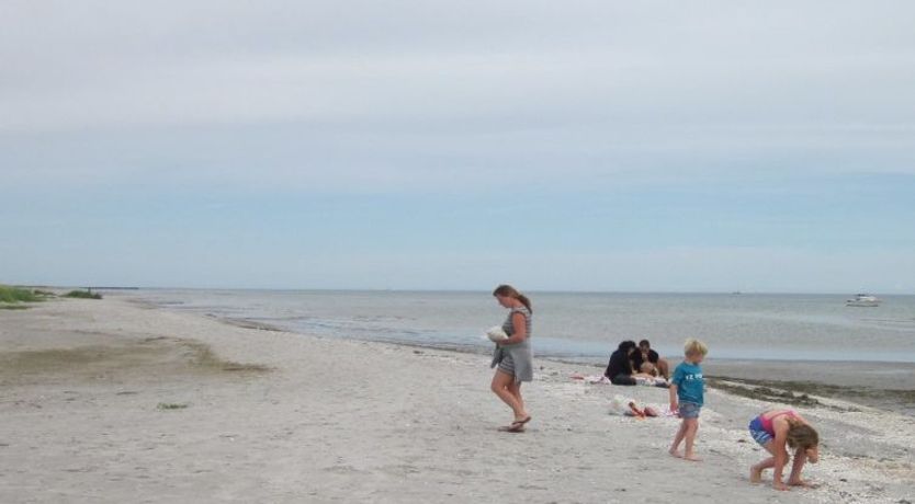 Photo of "Andria" - 300m from the sea