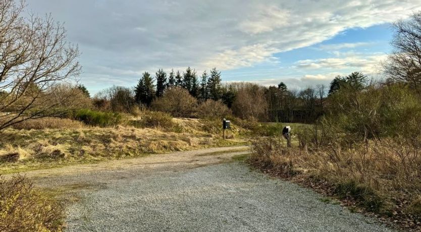 Photo of "Skammel" - 900m from the sea