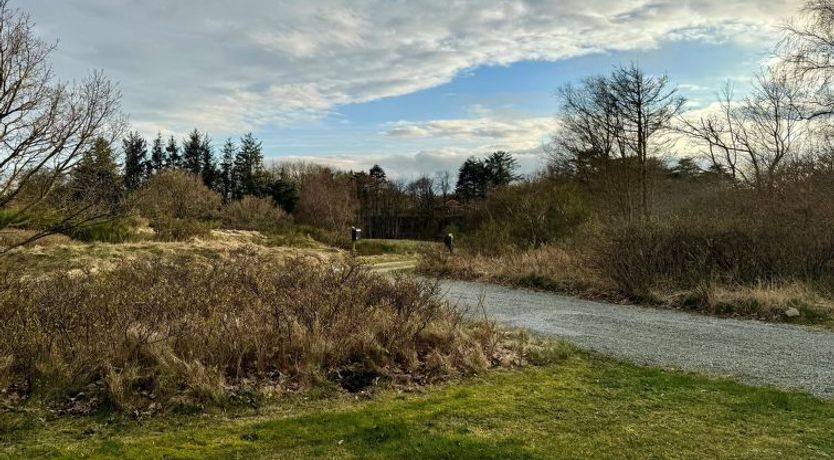 Photo of "Skammel" - 900m from the sea