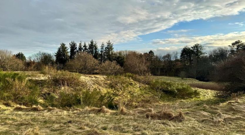 Photo of "Skammel" - 900m from the sea