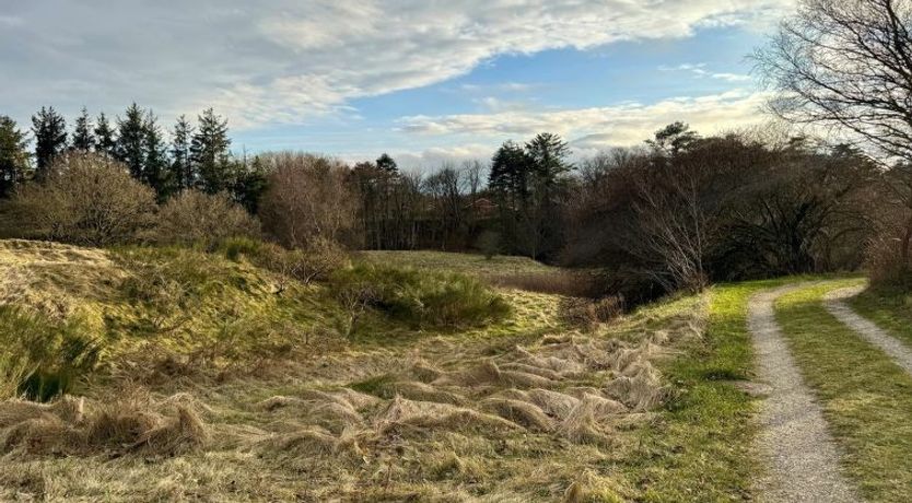 Photo of "Skammel" - 900m from the sea