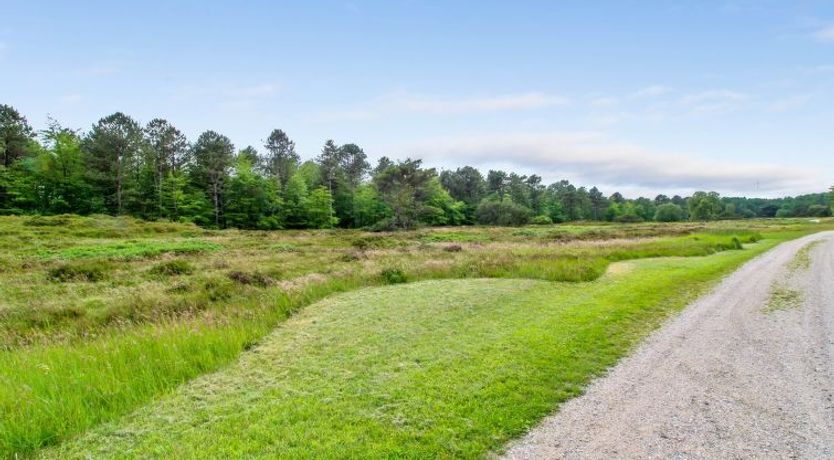 Photo of "Flora" - 150m from the sea